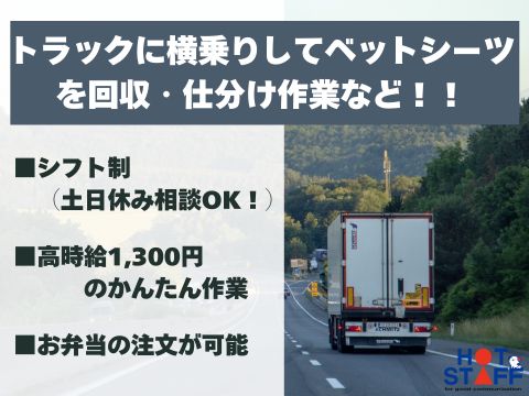 愛知県北名古屋市片場)ベットシーツの回 | 派遣の仕事・求人情報【HOT犬索（ほっとけんさく）】